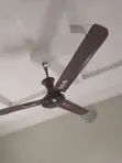Qasa Standing da Ceiling Fans - 3