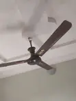 Qasa Standing da Ceiling Fans - 4