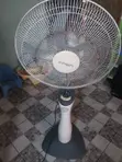 Qasa Standing da Ceiling Fans - 5