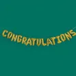 Taya Murna Foil Balloon Banner - 1