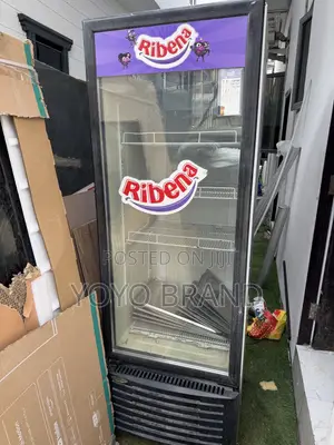 Used Blast Chiller Refrigerator - Yoyo Brand