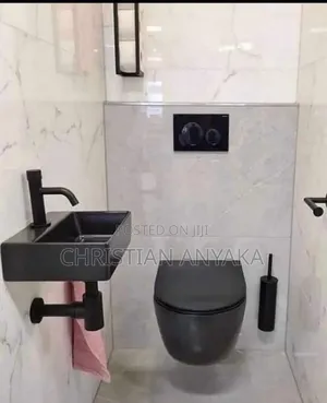 Ideal Brand Back-to-Wall Concealed Water Closet