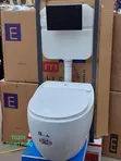 Ideal Brand Back-to-Wall Concealed Water Closet - 2