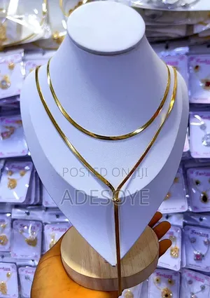 Elegant Gold-Tone Double Layer Necklace