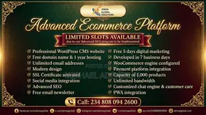 Advanced E-commerce Website Development
