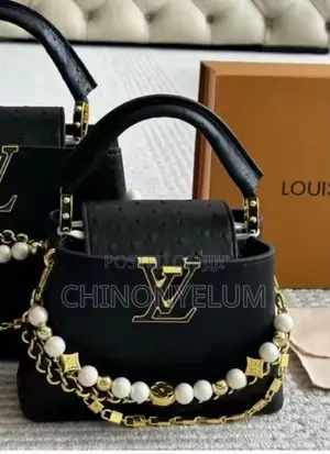 Louis Vuitton Luxury Ladies Handbag - Brand New