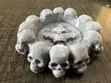Ashtray Mai Zane na Kwanyar Kai - 3