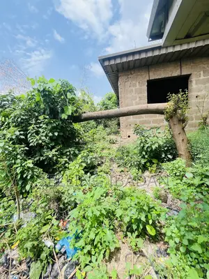 Residential Land with Survey in New Bodija, Ibadan