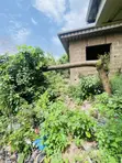 Residential Land with Survey in New Bodija, Ibadan - 1