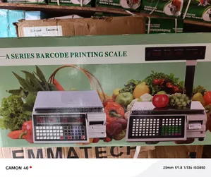 Original Barcode Printing Scale (30kg)