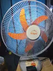 12" Fan Mai Cajin Rana - 1
