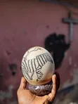 African Ostrich Egg - Decorative - 3