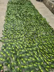 Artificial Leaf Mat - Kyakkyawar Inganci - 2