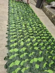 Artificial Leaf Mat - Kyakkyawar Inganci - 3