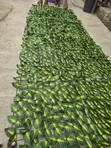 Artificial Leaf Mat - Kyakkyawar Inganci - 4