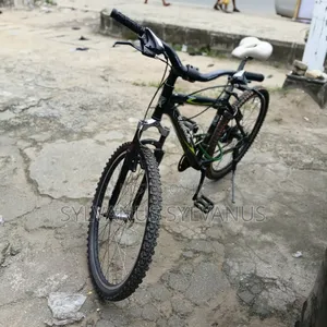 Clean Belgium Mountain Bicycle