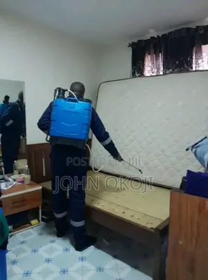 Sabis na Fumigation Mai Inganci - Gizo-gizo, Termite, Dabbobi
