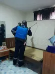 Sabis na Fumigation Mai Inganci - Gizo-gizo, Termite, Dabbobi - 2