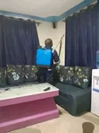 Sabis na Fumigation Mai Inganci - Gizo-gizo, Termite, Dabbobi - 3