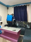 Sabis na Fumigation Mai Inganci - Gizo-gizo, Termite, Dabbobi - 4
