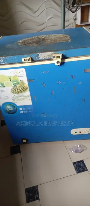 Amfani da Nexus 150L NX160 Chest Freezer