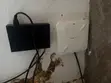 Starlink Mini and Extender (Used) - 1