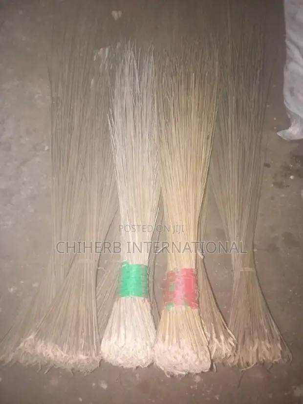 Broom for Sweeping - 1