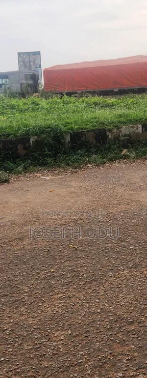 Mai Rarraba Siminti na Dangote da Bua