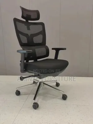 Quality Ergonomic Chair with Lumbar Support