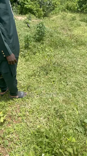 Apo Wasa Residential Land with C of O