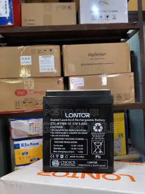 Lontor Rechargeable Battery 12V 5Ah