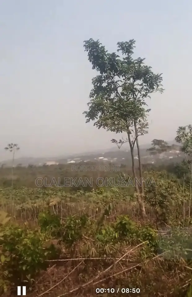 Virgin Land for Sale in Ayegun, Oluyole - 1