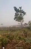 Virgin Land for Sale in Ayegun, Oluyole - 1