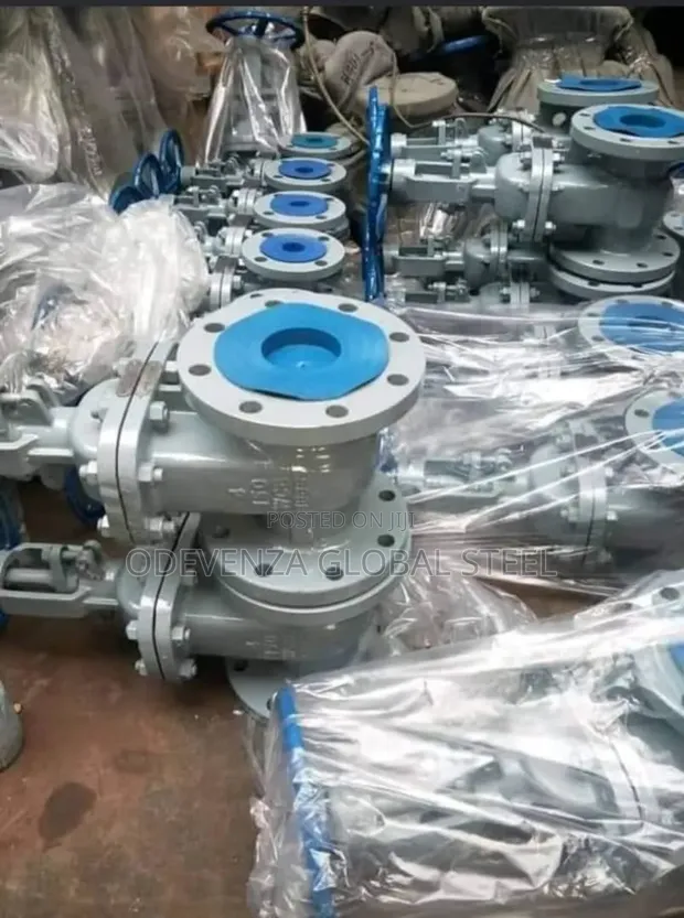 Steel Gate Valve - Brand New - 1