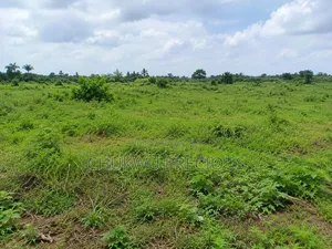 Filin 350sqm na zama don siyarwa a Gundumar Apo, Wasa