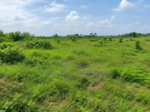 250sqm Residential Land for Sale in Apo Wasa, Sunrise Manor