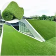 Artificial Grass Carpet - Nationwide Supplier - 2