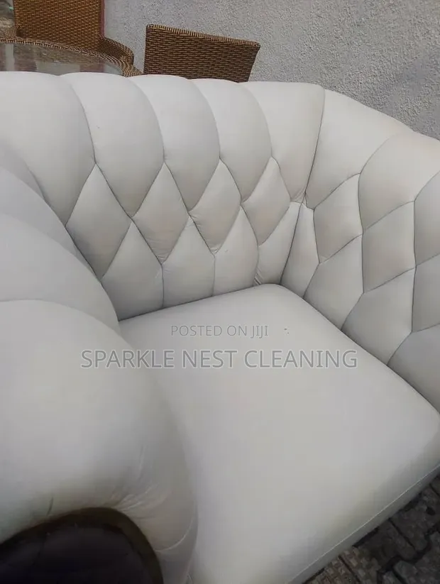 Sparkling Couch Cleaning Services - 1