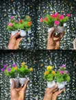Mini Artificial Flowers - Multicolor - 1