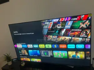 58" Hisense TV (Model 58A6N)
