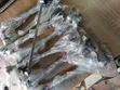 GAC GS3, GS4 Na Gaskiya Na Gaba - 1