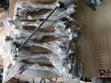 GAC GS3, GS4 Na Gaskiya Na Gaba - 2