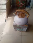 HausRoland Kettle Mai Girma 5L - 1