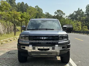 BYD Leopard 5 2023 Silver