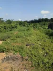 Cikakken Filin Ƙasa Don Siyarwa a Igando - 5