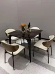 Modern 4-Seater Luxury Dining Set - 1