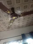 Fan Mai Dogon Baki - Launin Mahogany Brown - 2