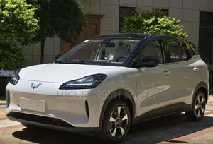 Sabon Wuling Bingo 2024 Mai Amfani da Wuta