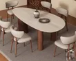 Modern Ovoid Dining Set (Mai Zama 6) - 1