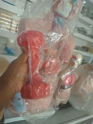 Bodygym Dumbbells Mai Rufe da Rubber - Sabon Abu